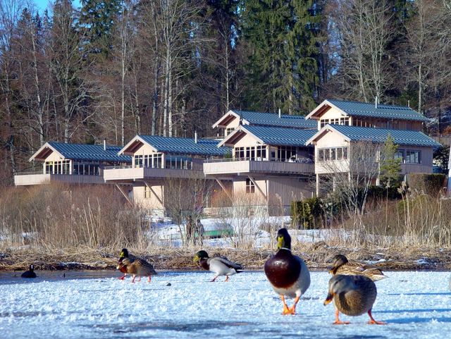 Chalets Lac Saint Point