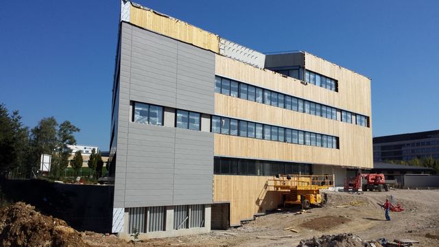 TRIGONE, photo 2