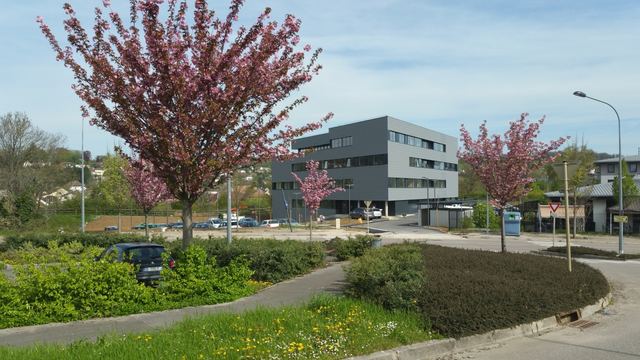 TRIGONE, photo 5