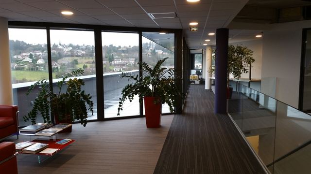 TRIGONE, photo 8