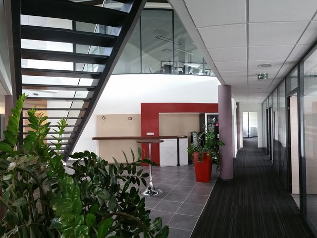 TRIGONE, photo 13